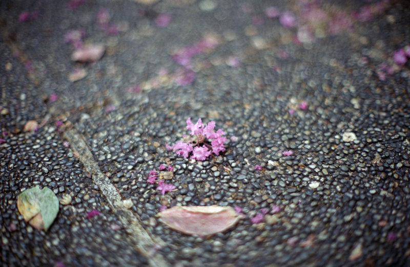 f:id:kei_arika:20201012233554j:plain