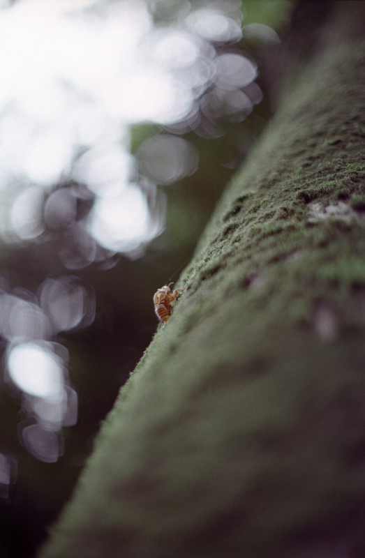 f:id:kei_arika:20201012233600j:plain