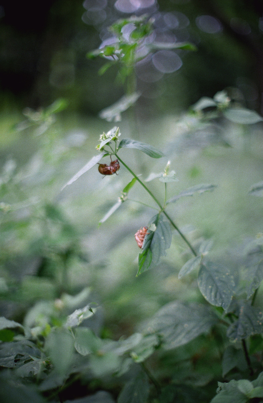 f:id:kei_arika:20201012233611j:plain