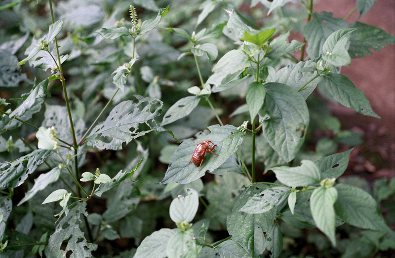 f:id:kei_arika:20201012233627j:plain