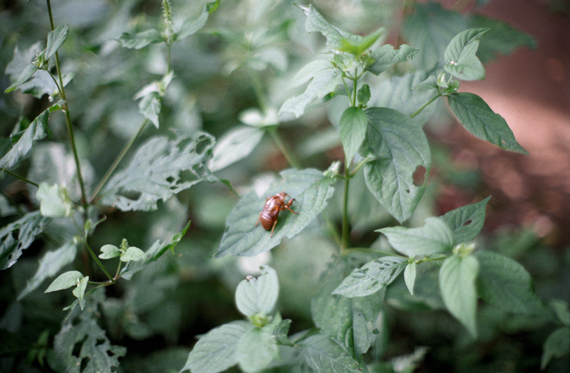 f:id:kei_arika:20201012233632j:plain