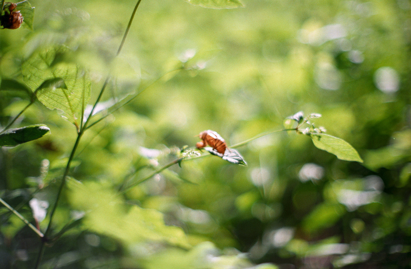 f:id:kei_arika:20201012233636j:plain