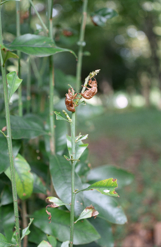 f:id:kei_arika:20201012233652j:plain