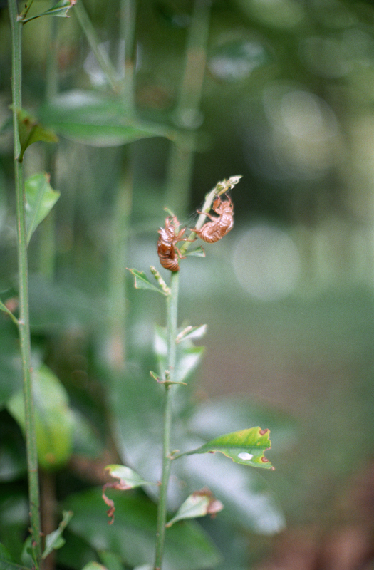 f:id:kei_arika:20201012233657j:plain