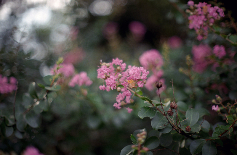 f:id:kei_arika:20201012233708j:plain