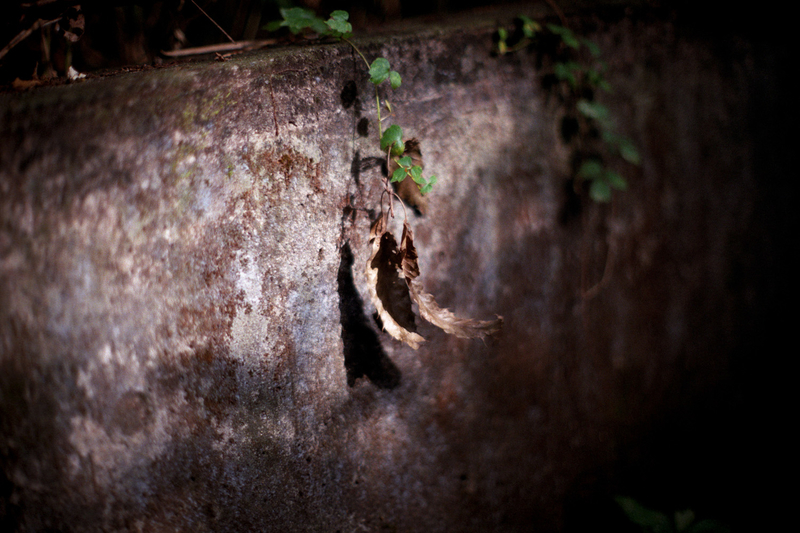 f:id:kei_arika:20201012233712j:plain