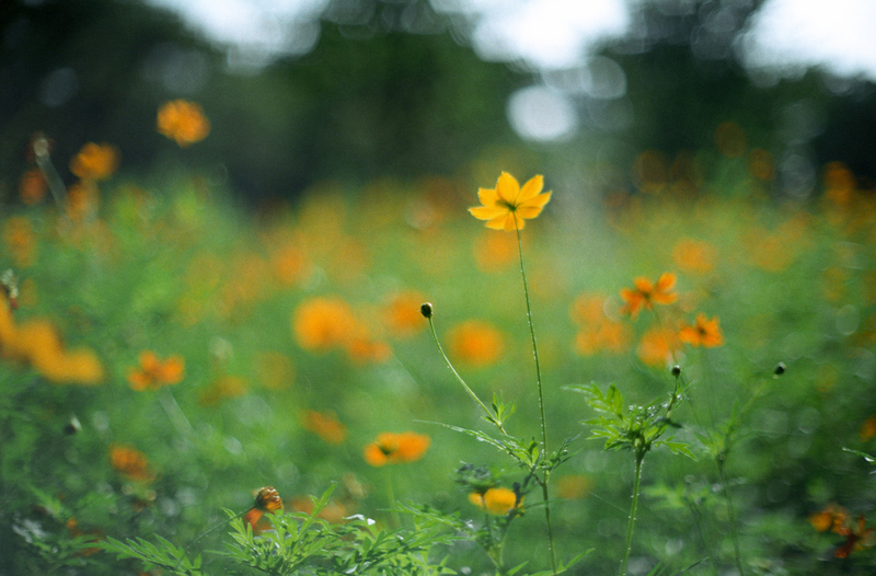 f:id:kei_arika:20201012233733j:plain