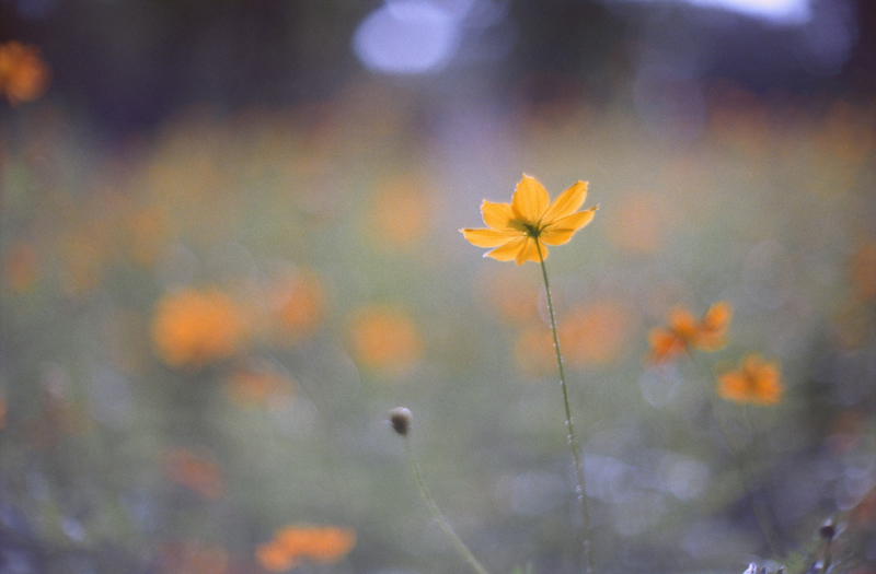 f:id:kei_arika:20201012233738j:plain