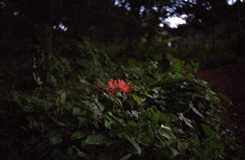 f:id:kei_arika:20211030020158j:plain