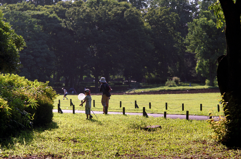 f:id:kei_arika:20211030021717j:plain