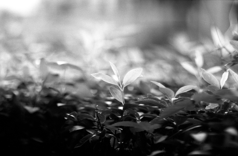 f:id:kei_arika:20211030021732j:plain