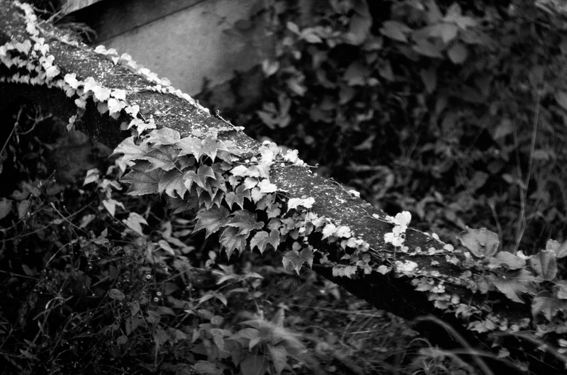 f:id:kei_arika:20211030021736j:plain