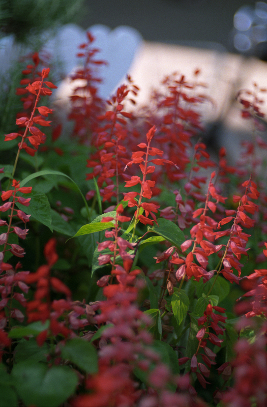 f:id:kei_arika:20211030021922j:plain