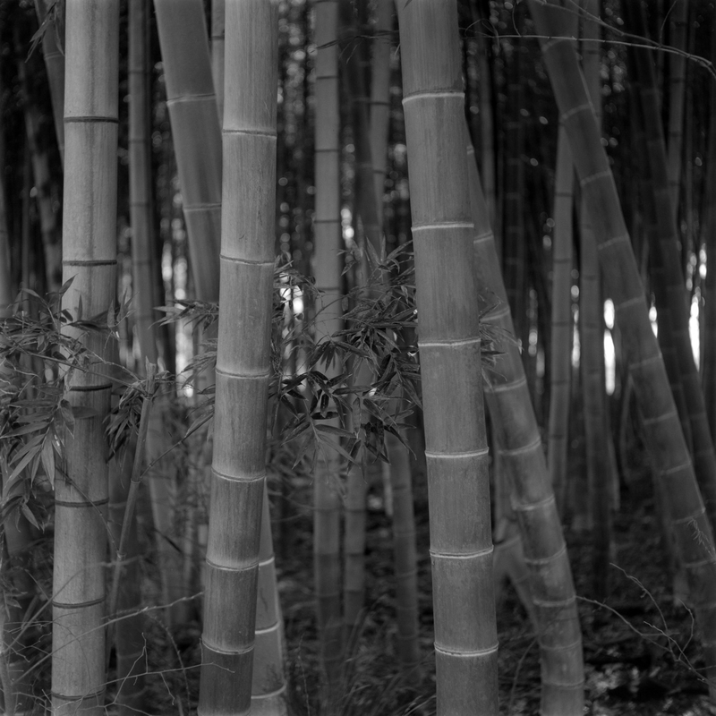 f:id:kei_arika:20220418004813j:plain