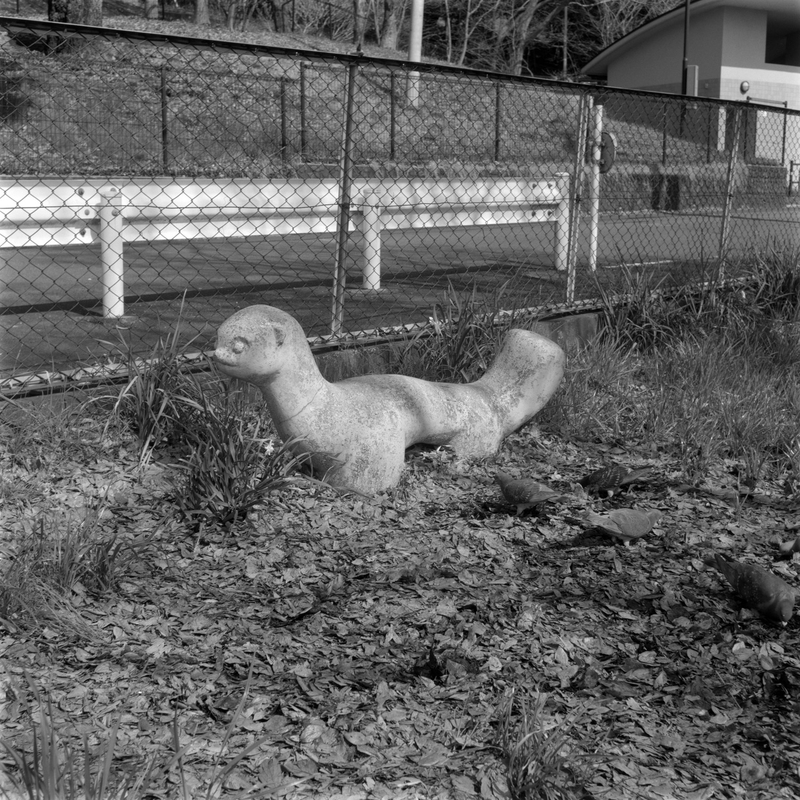 f:id:kei_arika:20220418004817j:plain