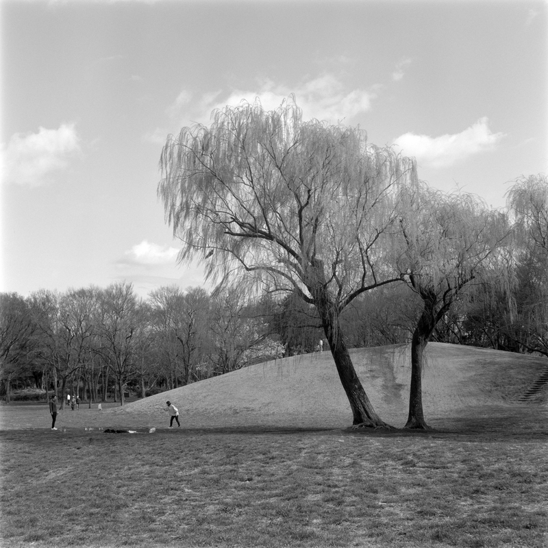 f:id:kei_arika:20220418004825j:plain