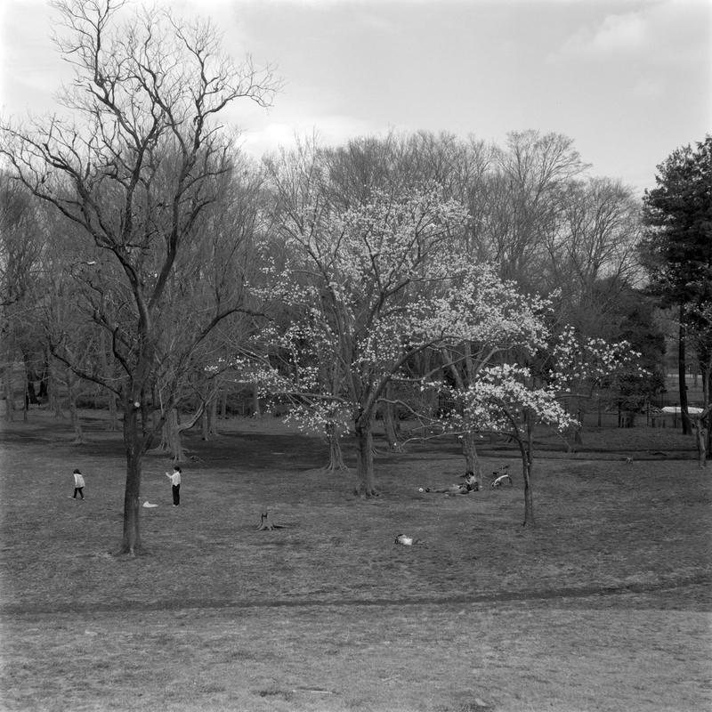 f:id:kei_arika:20220418004834j:plain