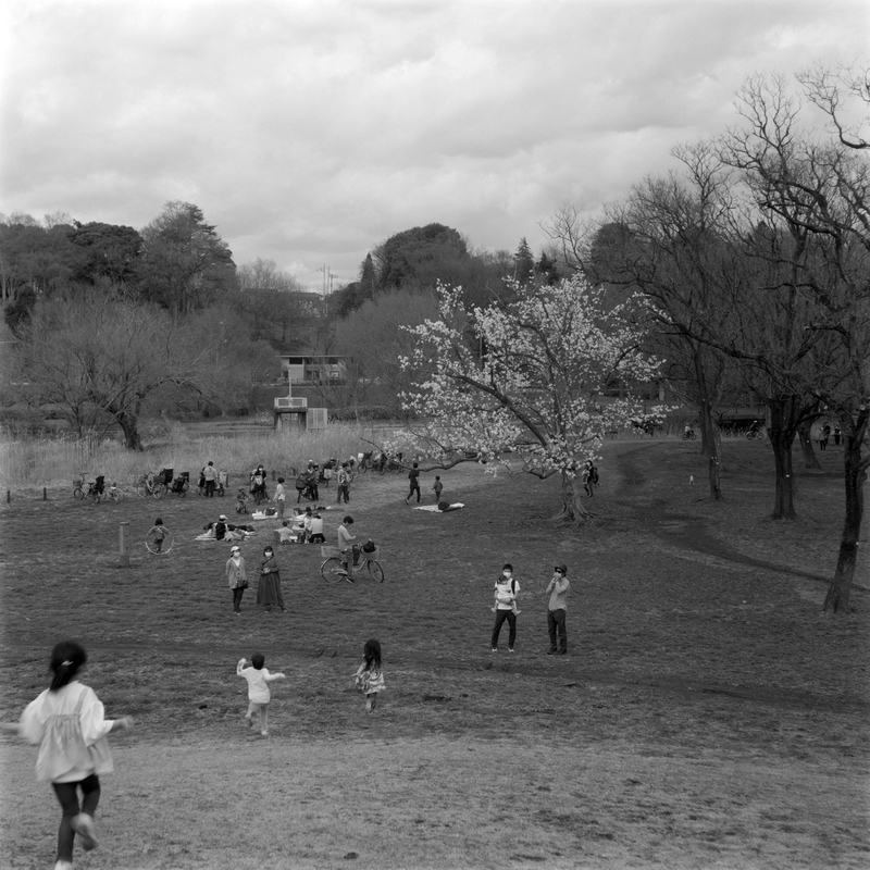 f:id:kei_arika:20220418004839j:plain