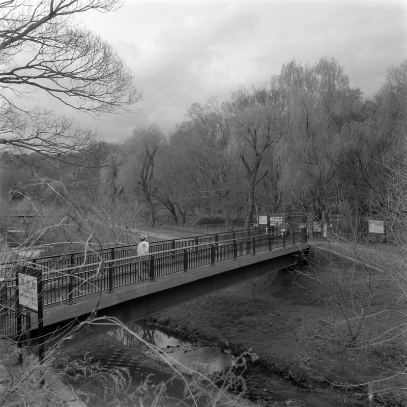 f:id:kei_arika:20220418004844j:plain