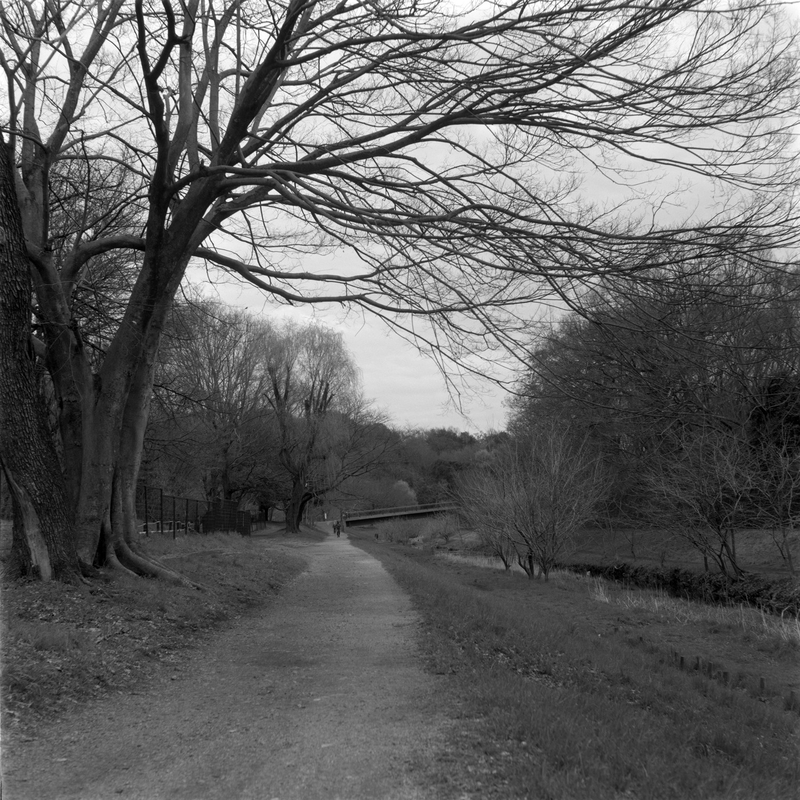 f:id:kei_arika:20220418004848j:plain