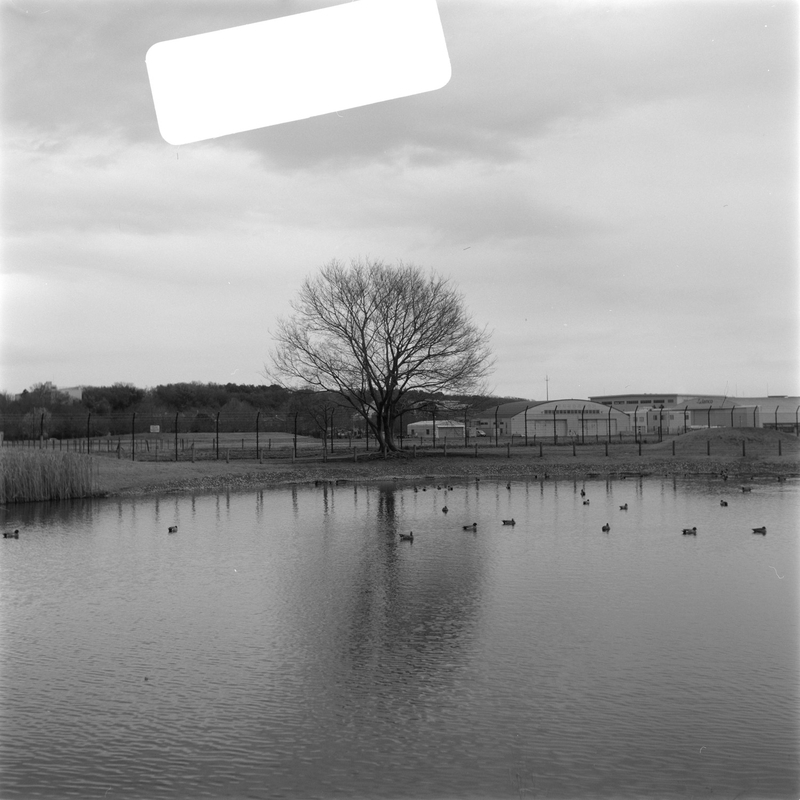 f:id:kei_arika:20220418004857j:plain