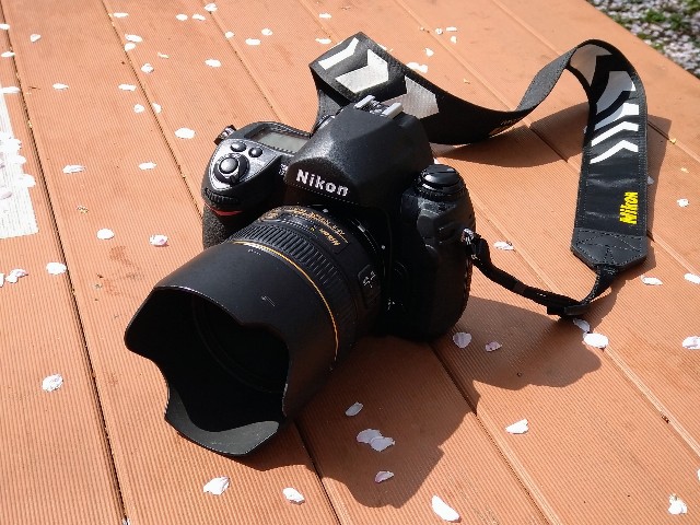 Nikon F6 で撮るいつもの散歩。 - 今日もカメラと。