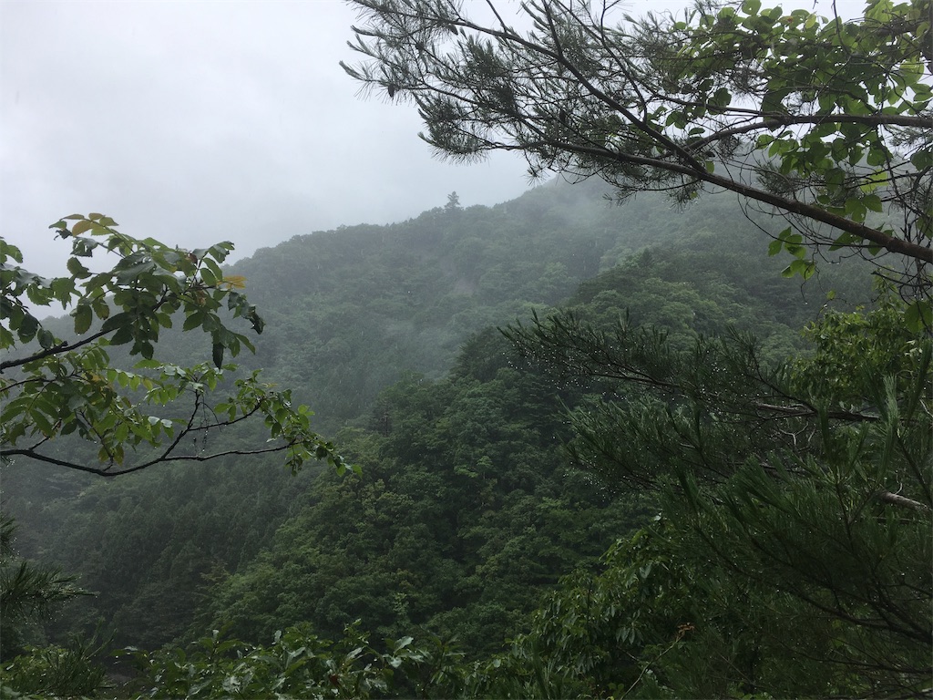 f:id:keiad1965:20190711001547j:image f:id:keiad1965:20190711001547j:image