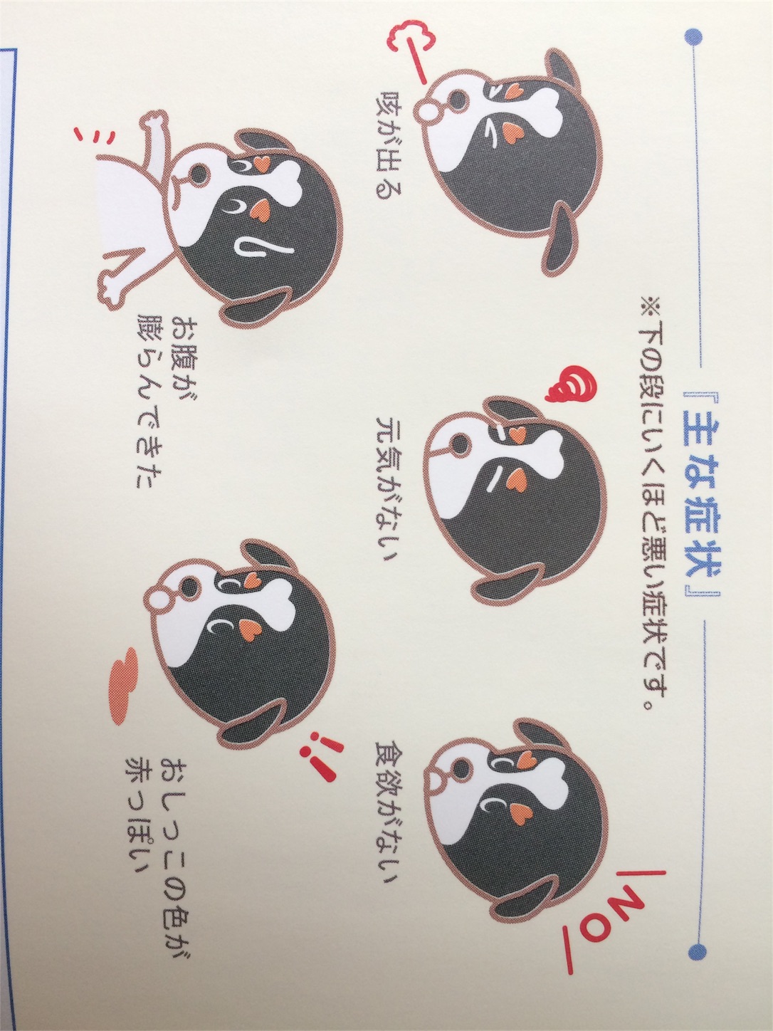 f:id:keiai-animalhospital:20170509114940j:image f:id:keiai-animalhospital:20170509114940j:image
