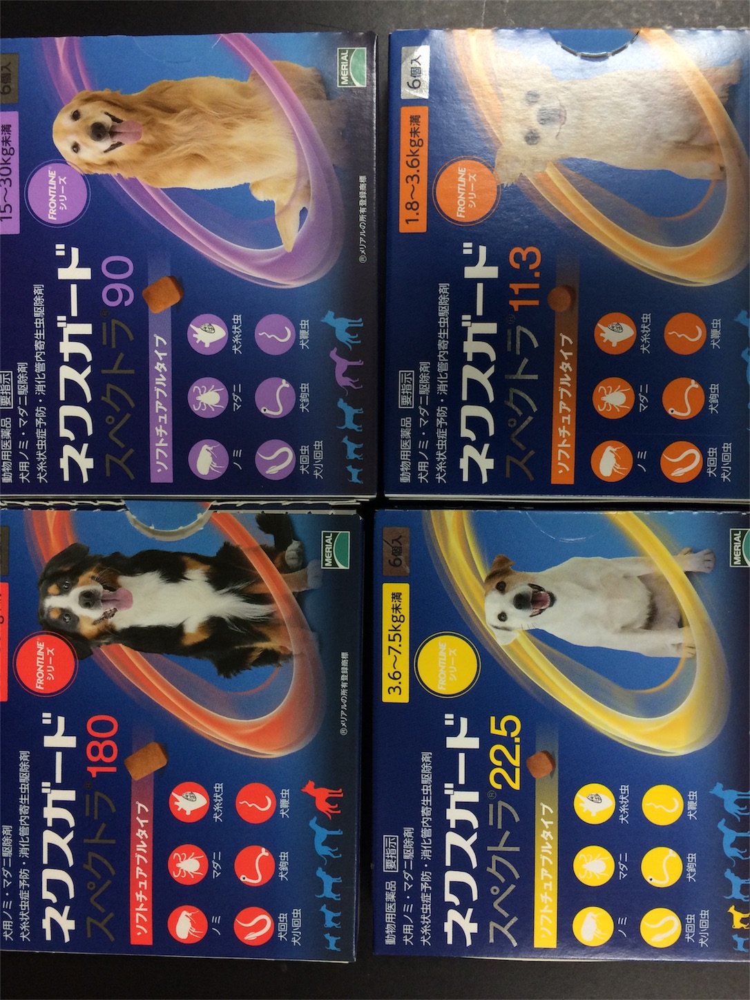 f:id:keiai-animalhospital:20170509165737j:image f:id:keiai-animalhospital:20170509165737j:image