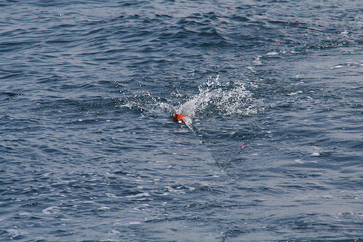 f:id:keiba_tmr:20090720100547j:image f:id:keiba_tmr:20090720100547j:image