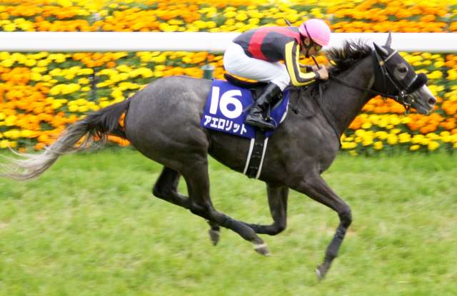 芦毛は消えず - 競馬茶論 〜サロン・ド・ケイバ〜