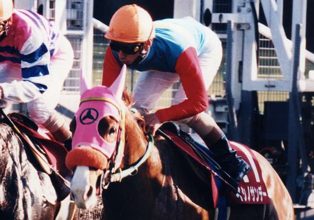 訃報】イシノサンデー - 競馬茶論 〜サロン・ド・ケイバ〜