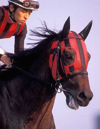 訃報】エイシンプレストン - 競馬茶論 〜サロン・ド・ケイバ〜