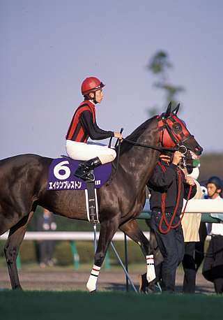 訃報】エイシンプレストン - 競馬茶論 〜サロン・ド・ケイバ〜