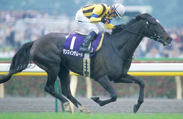 訃報】ダンスインザムード - 競馬茶論 〜サロン・ド・ケイバ〜