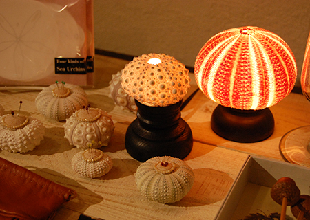 f:id:keibunshabooks:20161117195223j:plain f:id:keibunshabooks:20161117195223j:plain