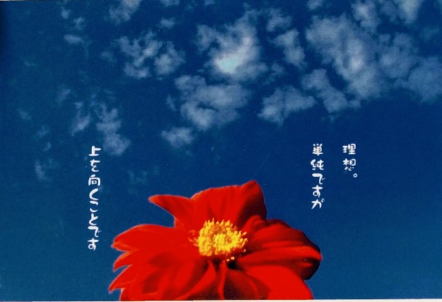 f:id:keichan2020:20200115215540j:image f:id:keichan2020:20200115215540j:image