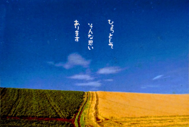 f:id:keichan2020:20200117174732j:image f:id:keichan2020:20200117174732j:image