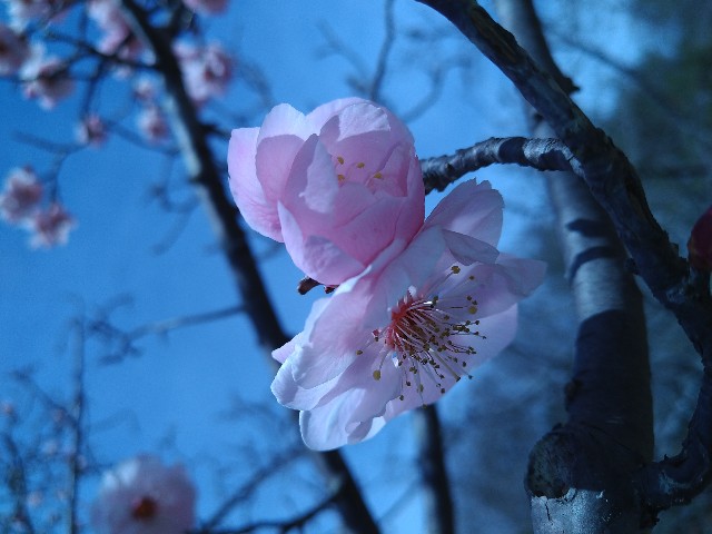 f:id:keichan2020:20200309231234j:image