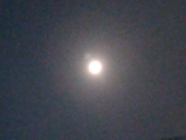 f:id:keichan2020:20200408205913j:image f:id:keichan2020:20200408205913j:image