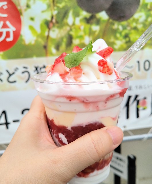 f:id:keichan2020:20200724213025j:image