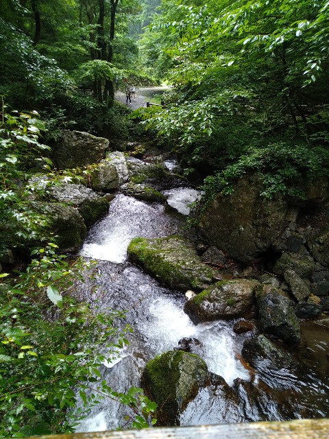 f:id:keichan2020:20200816151757j:image f:id:keichan2020:20200816151757j:image