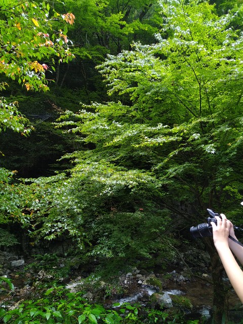 f:id:keichan2020:20200816155637j:image f:id:keichan2020:20200816155637j:image