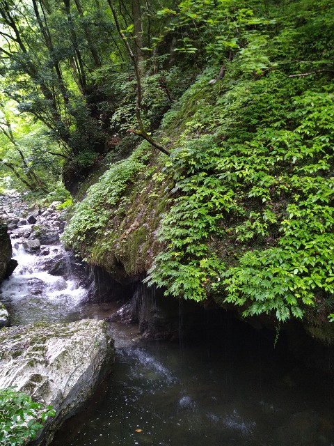 f:id:keichan2020:20200816163739j:image f:id:keichan2020:20200816163739j:image