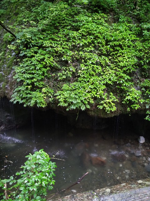 f:id:keichan2020:20200816163802j:image f:id:keichan2020:20200816163802j:image