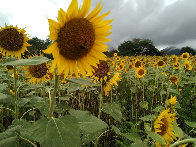 f:id:keichan2020:20200816165200j:image f:id:keichan2020:20200816165200j:image