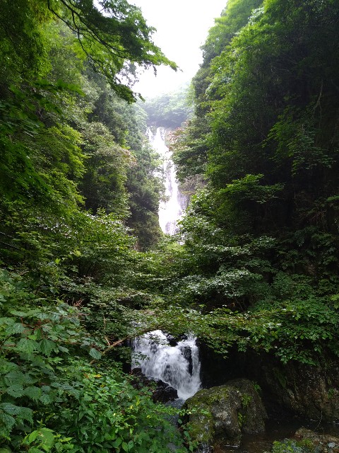 f:id:keichan2020:20200816171607j:image f:id:keichan2020:20200816171607j:image