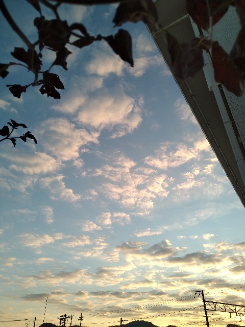 f:id:keichan2020:20201025064231j:image