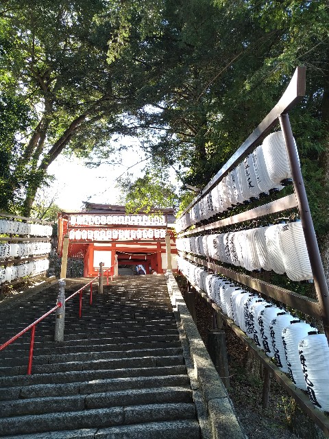 f:id:keichan2020:20201028091937j:image