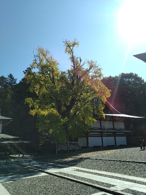 f:id:keichan2020:20201028092300j:image
